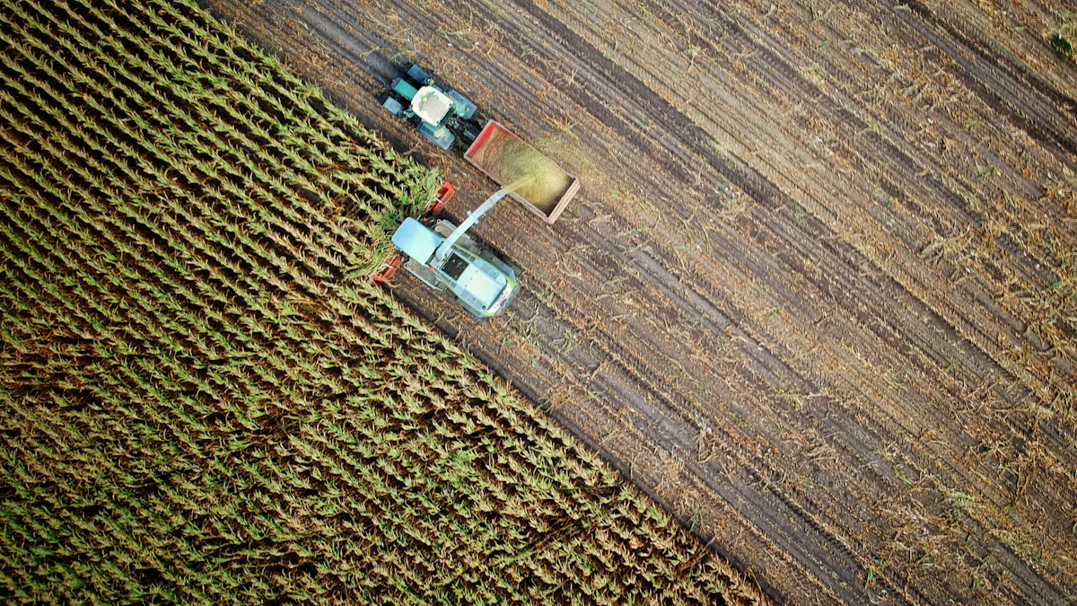 Langkah-langkah Implementasi