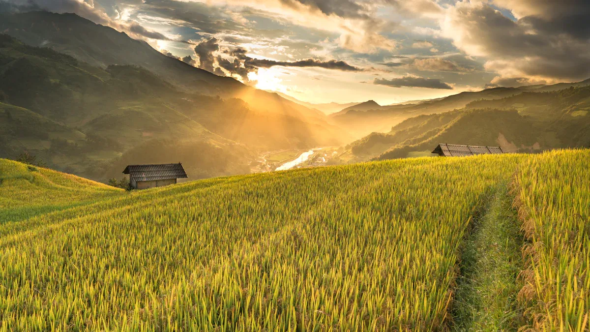 Mining Applications of W25Q64JVSSIQ