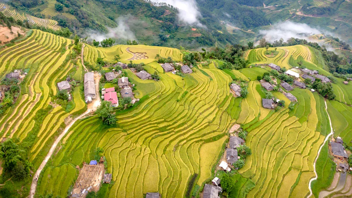 Agricultural drones Vietnam trong nông nghiệp