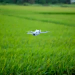 Guia prÃ¡tico para importar drones agrÃ­colas para uso prÃ³prio ou empresarial